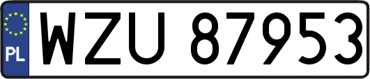WZU87953