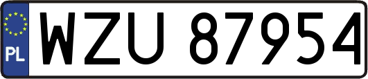 WZU87954