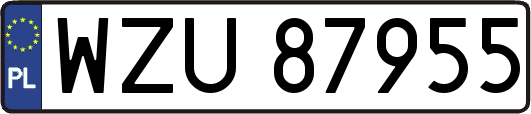 WZU87955