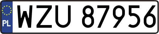 WZU87956