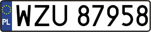 WZU87958
