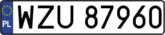 WZU87960