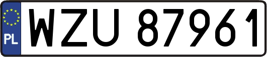 WZU87961