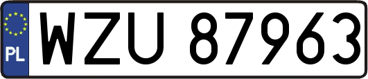 WZU87963