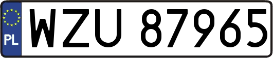 WZU87965