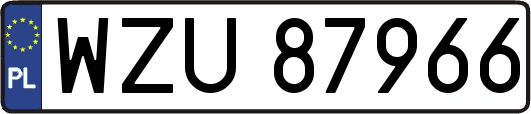 WZU87966