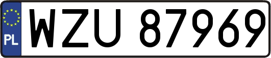 WZU87969