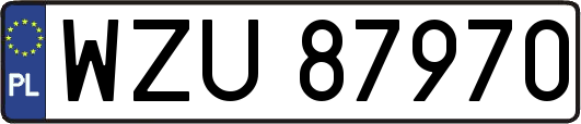 WZU87970