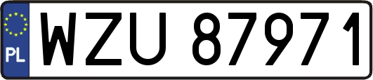 WZU87971