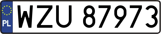 WZU87973
