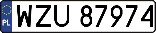 WZU87974