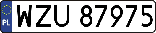 WZU87975