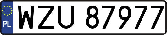 WZU87977