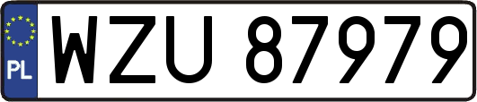 WZU87979