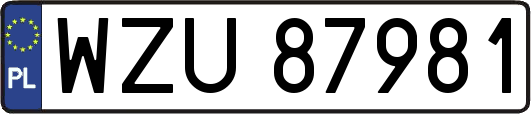 WZU87981