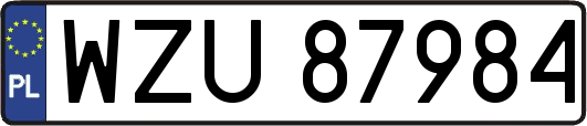 WZU87984