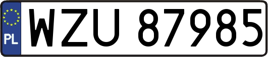 WZU87985