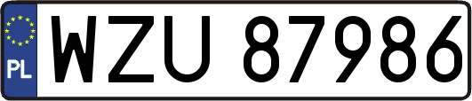 WZU87986