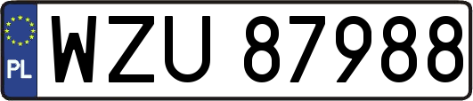 WZU87988