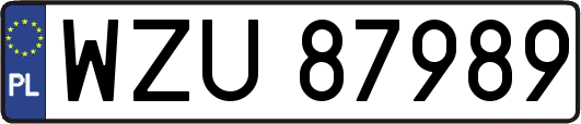 WZU87989