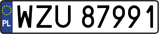 WZU87991