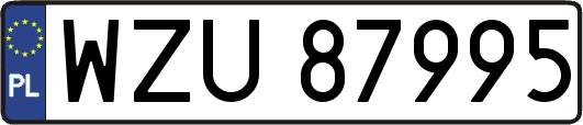 WZU87995
