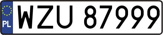 WZU87999