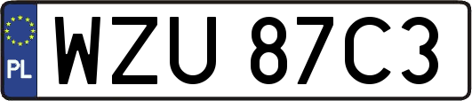 WZU87C3