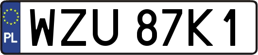 WZU87K1