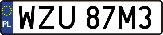 WZU87M3