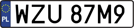 WZU87M9