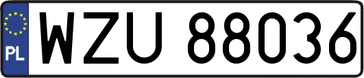 WZU88036