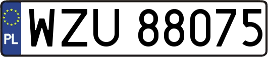 WZU88075