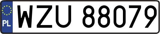 WZU88079
