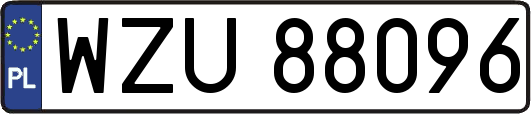 WZU88096