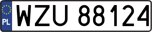 WZU88124