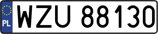 WZU88130