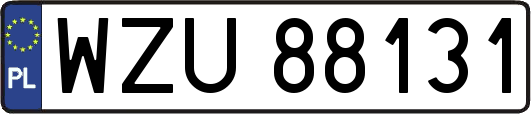 WZU88131