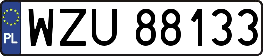 WZU88133
