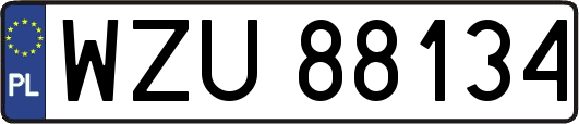 WZU88134