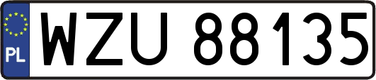 WZU88135