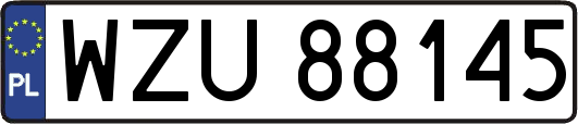 WZU88145