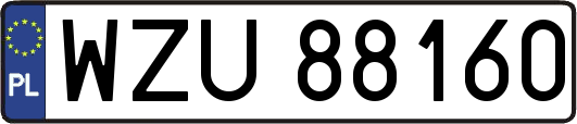 WZU88160