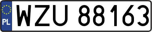 WZU88163