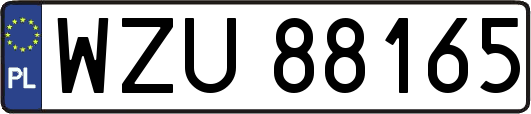 WZU88165