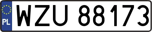 WZU88173