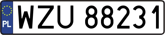 WZU88231