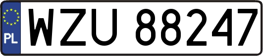 WZU88247