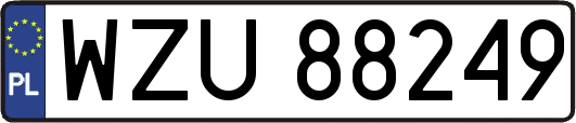 WZU88249