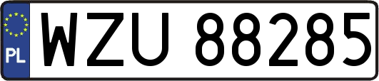 WZU88285